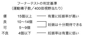 フーナーテストの判定基準