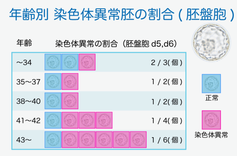 年齢別染色体異常胚の割合