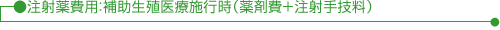 注射薬費用:生殖補助医療施工時(薬剤費+注射手業料)