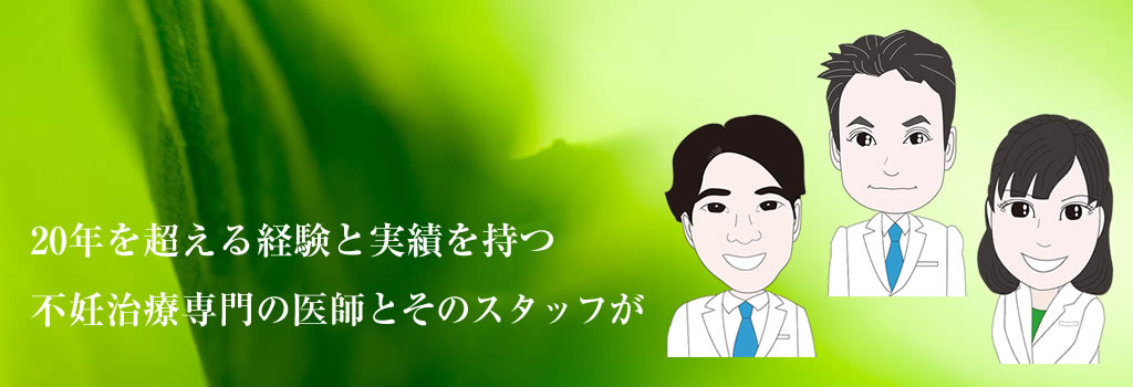 20年を超える経験と実績