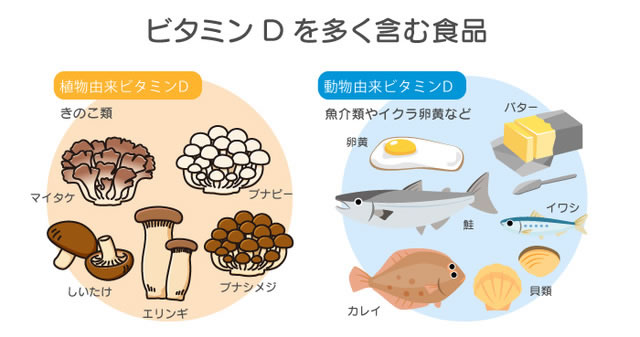 ビタミンDを多く含む食品