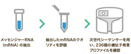 ERA検査2